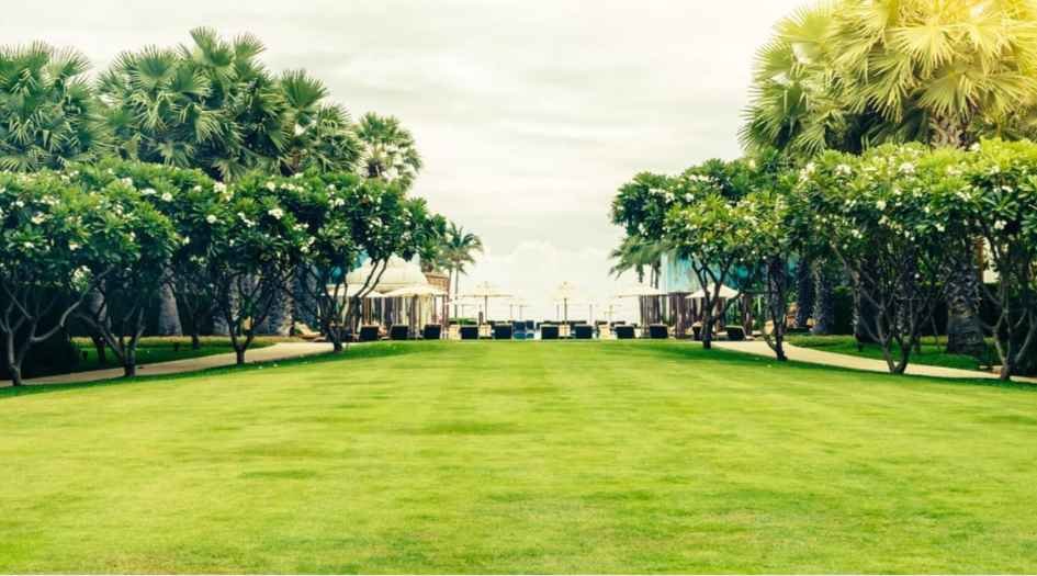 Shiv-Sarovar-Heritage-landscape-garden